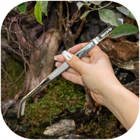 Curved waterproof terrarium tweezers - 20cm